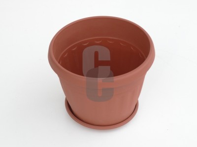 Нови предложения Саксия Ребро 19                                                                                                                                                                                                                                                                                             